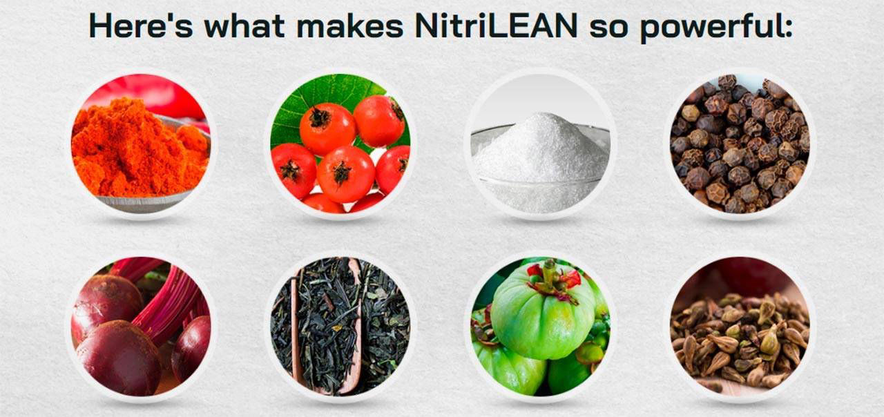 NitriLean Ingredients